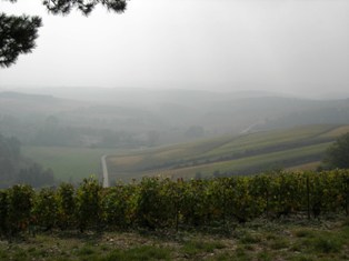 Foggy view in south.jpg